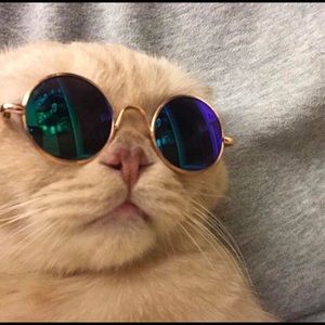 Meet your Posher, Krystal